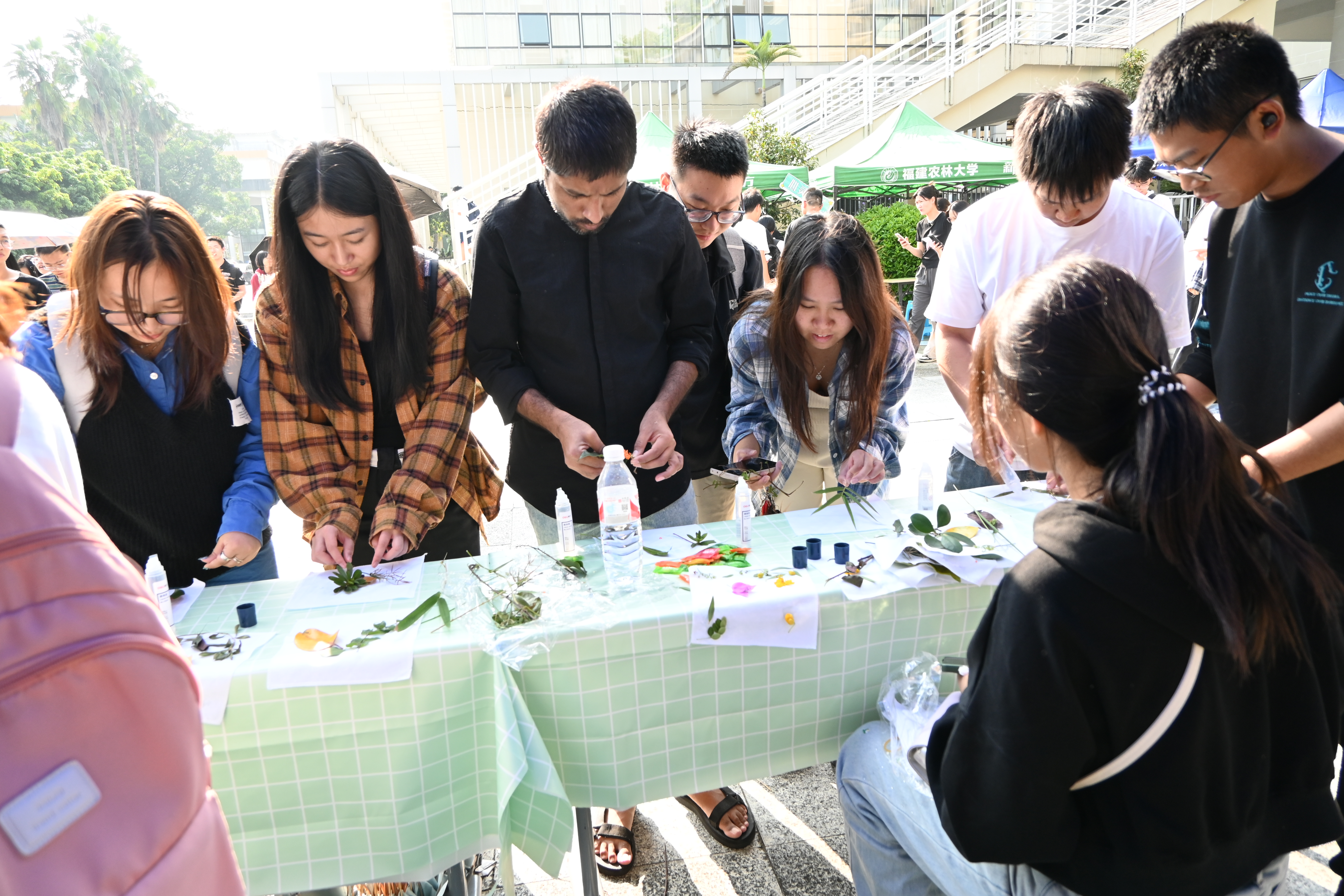 E3285EDE6DF74B94D8EE09458F044382.png E3285EDE6DF74B94D8EE09458F044382.png