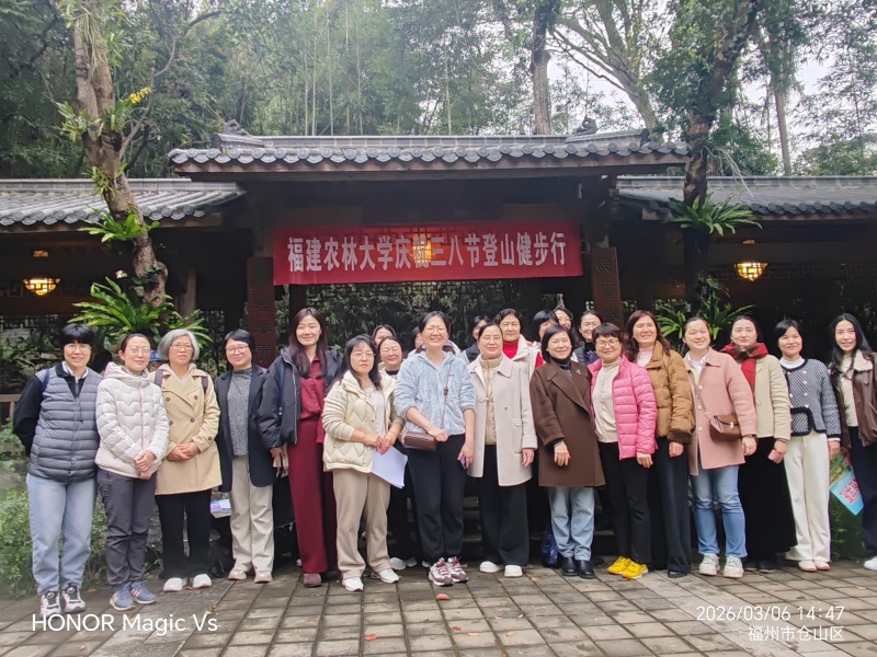 登山20260306.jpg 登山20260306.jpg